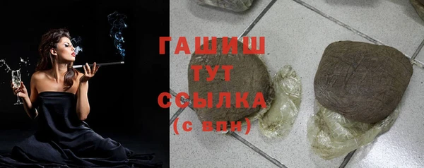 стаф Каменногорск