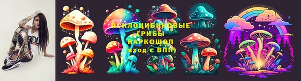 прущий лед Инта
