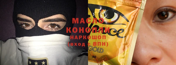 скорость Каменка