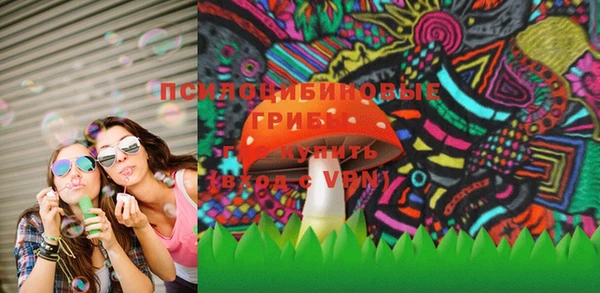 стаф Каменногорск