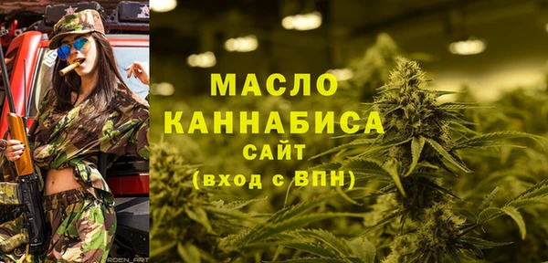 скорость Каменка