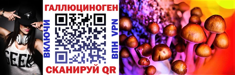 Купить закладки  Заречный  Галлюциногенные грибы Cubensis 